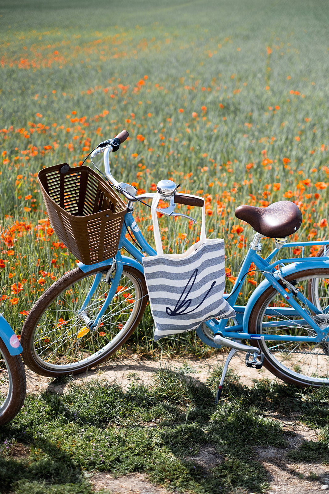 Naïakitsu - Ile de Ré